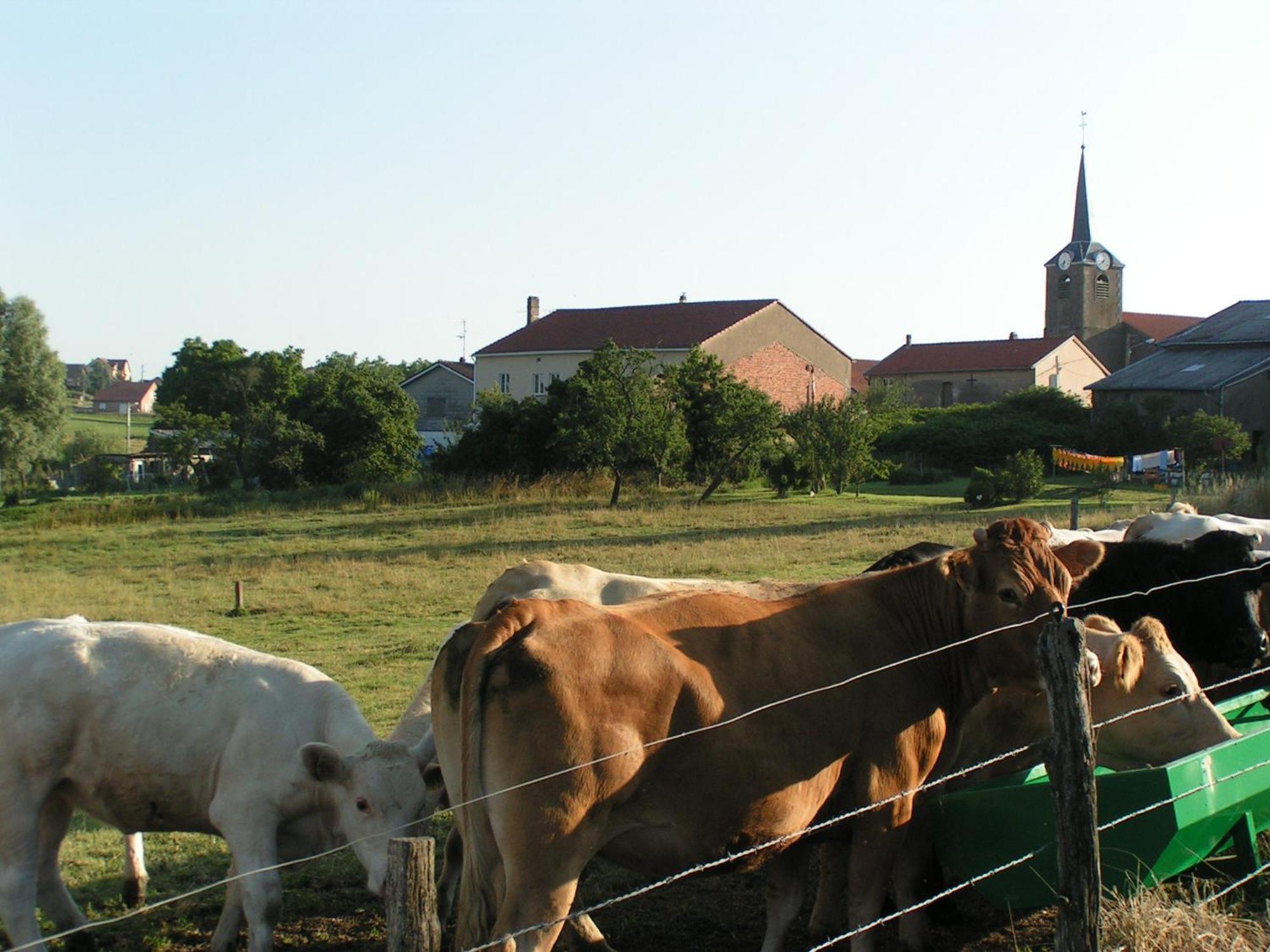 Racrange Chambres D'Hotes Au Presbytere מראה חיצוני תמונה